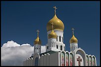 Russian Cathedral Holy Virgin. San Francisco, California, USA (color)