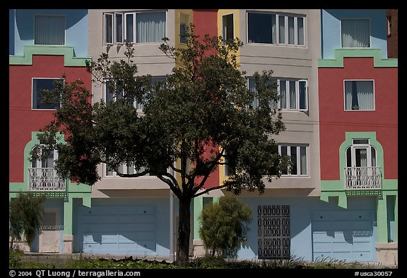 Tree and colorful house. San Francisco, California, USA