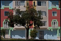 Tree and colorful house. San Francisco, California, USA (color)