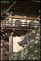 Entrance of Japanese Garden, Golden Gate Park. San Francisco, California, USA