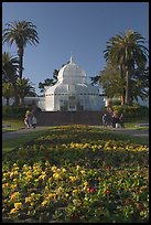 Flower bed and Conservatory of the Flowers, late afternoon, Golden Gate Park. San Francisco, California, USA ( color)