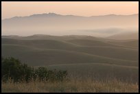 Rolling Hills  seen from Laguna Seca. California, USA