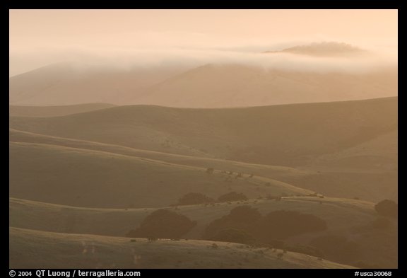 Rolling Hills and fog, sunrise. California, USA (color)