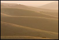 Ridglines, sunrise. California, USA