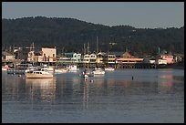 Monterey Harbor. Monterey, California, USA (color)