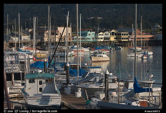 Boats and Fisherman's Wharf, afternoon, Monterey. Monterey, California, USA