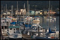 Boats and Fisherman's Wharf, afternoon, Monterey. Monterey, California, USA (color)