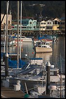 Boats and Fisherman's Wharf, afternoon, Monterey. Monterey, California, USA