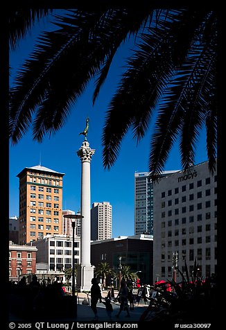 Union square and column framed by palm trees, afternoon. San Francisco, California, USA (color)