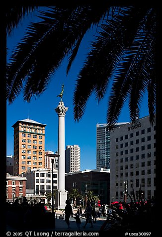 Union square and column framed by palm trees, afternoon. San Francisco, California, USA