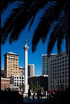 Union square and column framed by palm trees, afternoon. San Francisco, California, USA (color)