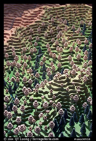 Elevation model in the museum. Big Basin Redwoods State Park,  California, USA (color)