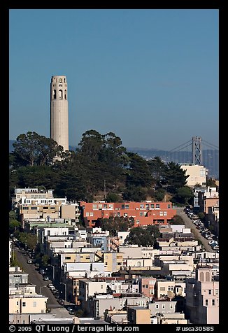 Houses on  Telegraph Hill and Coit Tower, afternoon. San Francisco, California, USA (color)