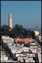 Houses on  Telegraph Hill and Coit Tower, afternoon. San Francisco, California, USA ( color)