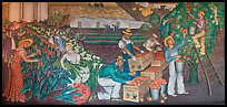 Orange-harvesting  scene depicted in a fresco inside Coit Tower. San Francisco, California, USA ( color)