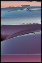Thunderbird classic cars. Santa Cruz, California, USA