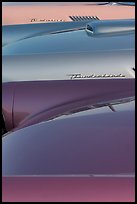 Thunderbird classic cars. Santa Cruz, California, USA (color)