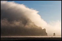 Morro Rock engulfed by afternoon fog. Morro Bay, USA