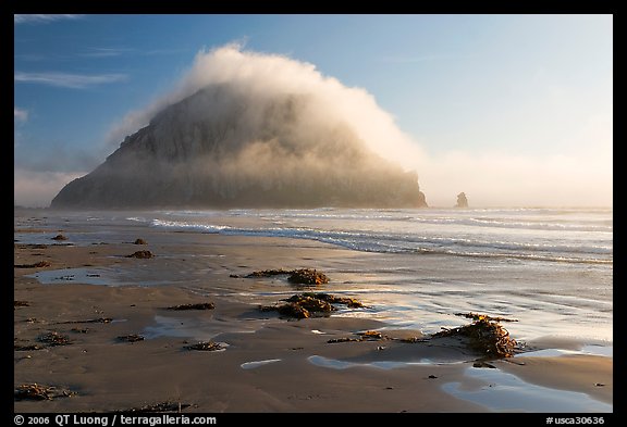 Beach with seaweed, and Morro Rock capped by afternoon fog. Morro Bay, USA