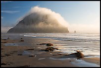 Beach with seaweed, and Morro Rock capped by afternoon fog. Morro Bay, USA