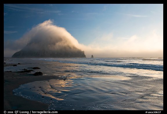 Morro Rock and fog reflected on beach. Morro Bay, USA