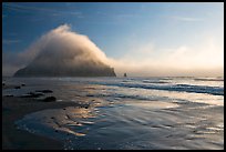 Morro Rock and fog reflected on beach. Morro Bay, USA