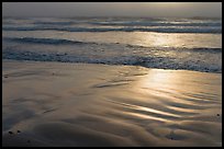 Wet sand, waves, and fog. Morro Bay, USA ( color)