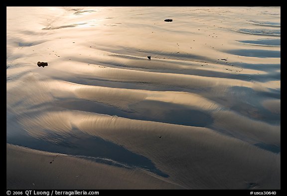 Ripples and wet sand on beach. Morro Bay, USA