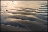 Ripples and wet sand on beach. Morro Bay, USA