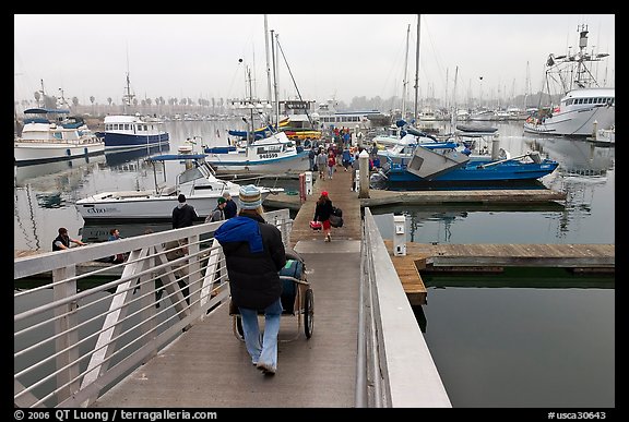 Harbor in morning fog. California, USA