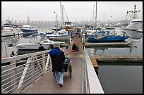 Harbor in morning fog. California, USA