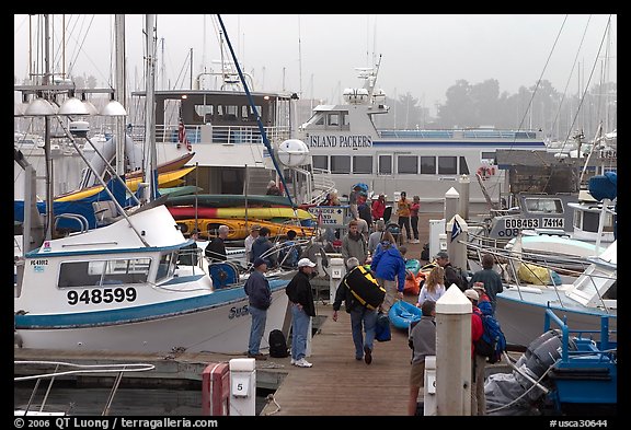 Island Packers pier in dawn fog. California, USA