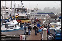 Island Packers pier in dawn fog. California, USA ( color)