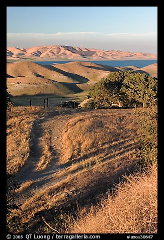 Golden hills and San Luis Reservoir. California, USA