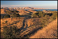 Rural path amongst oak and golden hills, San Luis Reservoir State Rec Area. California, USA