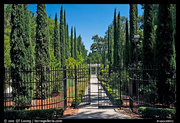 Gates, cypress and path, Villa Montalvo. Saragota,  California, USA (color)