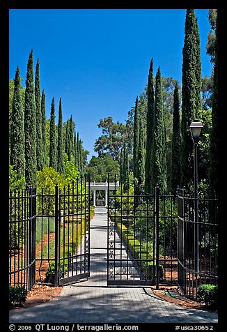 Gates in cypress trees in garden, Villa Montalvo. Saragota,  California, USA (color)
