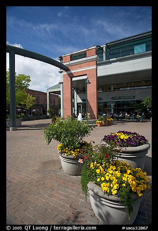 Menlo Center, afternoon. Menlo Park,  California, USA