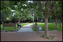 Freemont Park. Menlo Park,  California, USA ( color)