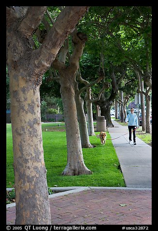 Woman walking her dog. Menlo Park,  California, USA
