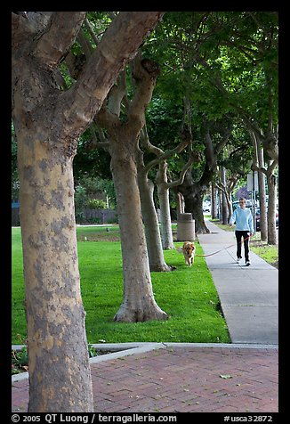 Woman walking her dog. Menlo Park,  California, USA (color)