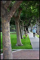 Woman walking her dog. Menlo Park,  California, USA