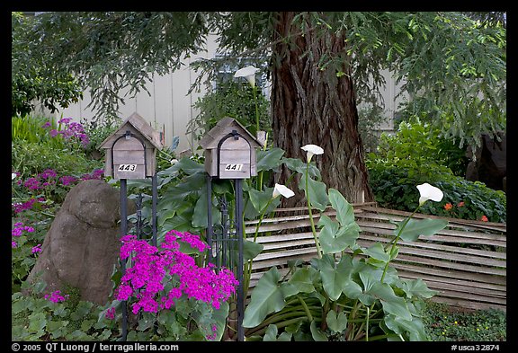 Mailboxes and front yard in a residential neighborhood. Menlo Park,  California, USA (color)