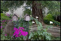 Mailboxes and front yard in a residential neighborhood. Menlo Park,  California, USA (color)