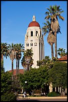 Hoover Tower seen from the Main  Quad, late afternoon. Stanford University, California, USA