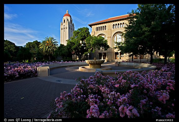 Bing Wing of Green Library and Hoover Tower,  late afternoon. Stanford University, California, USA