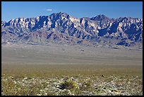 Providence Mountains. Mojave National Preserve, California, USA