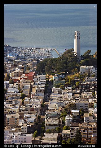 View from above of Telegraph Hill and Coit Tower, late afteroon. San Francisco, California, USA