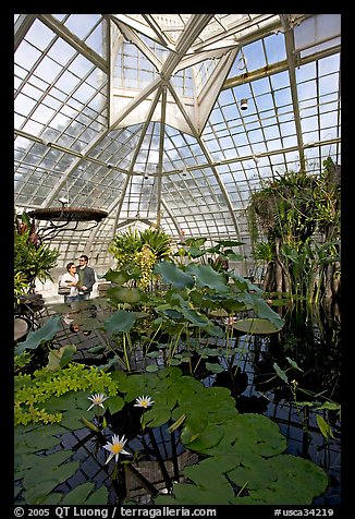 Aquatic plants section inside the Conservatory of Flowers. San Francisco, California, USA (color)