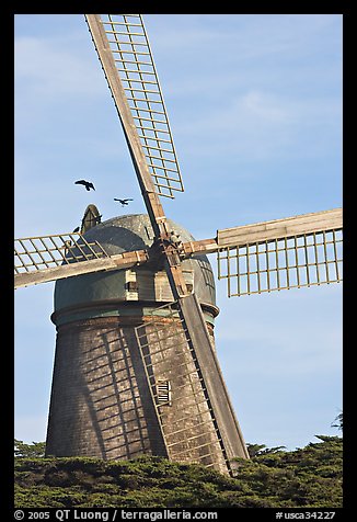 Dutch Mill. San Francisco, California, USA (color)